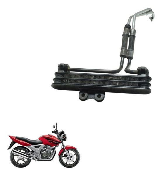 Radiador Óleo Completo Honda Cbx 250 Twister 02-08 Original