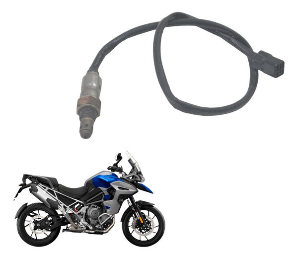 Sonda Lambda Triumph Tiger 1200 Gt Explorer 22-25 Original