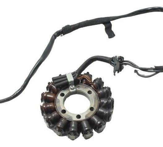 Estator C/ Avaria Bmw S 1000 Rr 10-14 Original