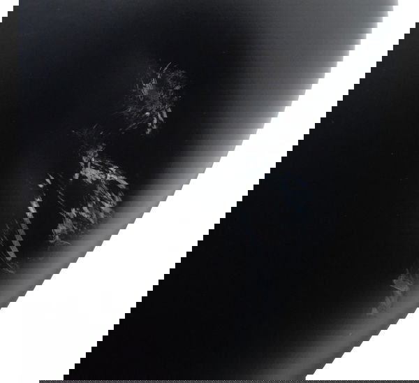 Tanque C/ Detalhes Ducati X Diavel S 16-22 Original