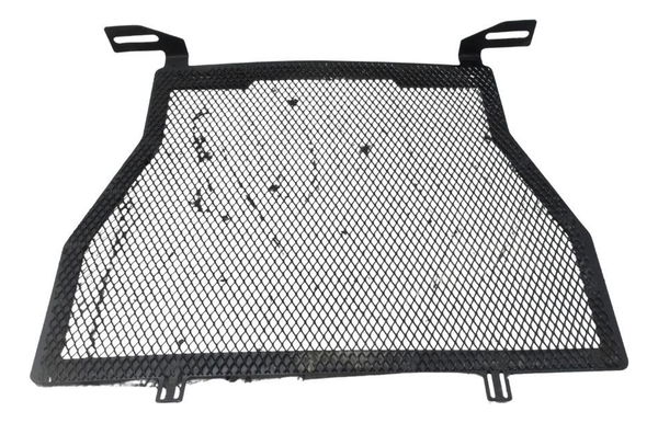 Grade Radiador Acessorio Bmw S 1000 Rr 10-14 Original