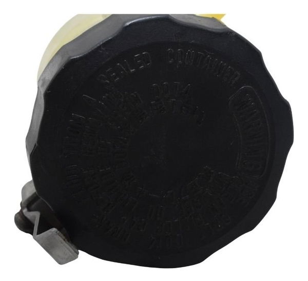 Reservatório Freio Dianteiro Bmw S 1000 Rr 10-14 Original