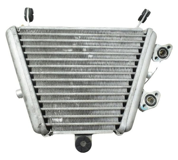 Radiador Óleo C/detalh Suzuki Gsx-r Srad 1000 18-23 Original