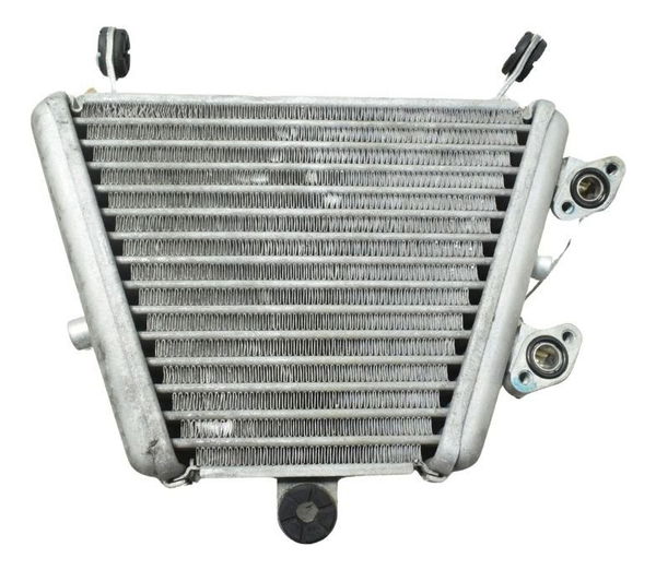 Radiador Óleo C/detalh Suzuki Gsx-r Srad 1000 18-23 Original