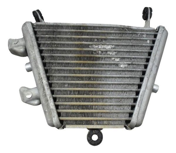 Radiador Óleo C/detalh Suzuki Gsx-r Srad 1000 18-23 Original