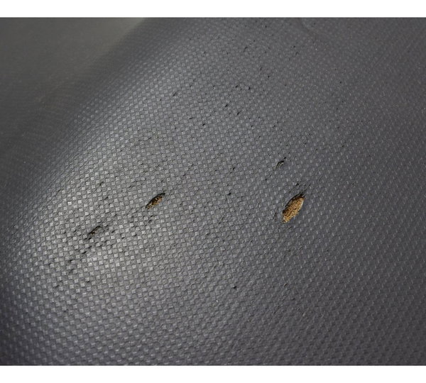Banco C/detalhe Bmw G 310 Gs 17-20 Original