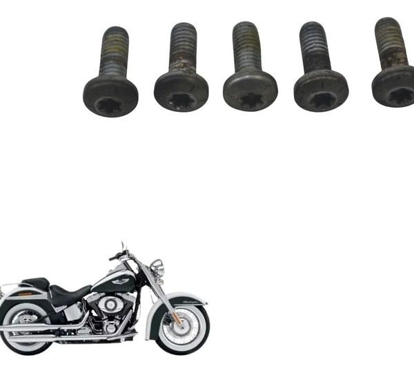 Kit Parafuso Disco Dianteiro Harley Softail Deluxe 11-15
