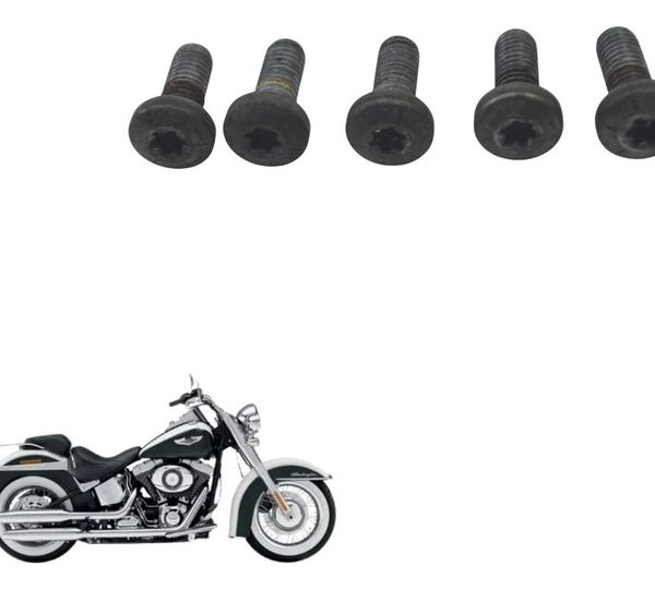 Kit Parafuso Disco Traseiro Harley Softail Deluxe 11-15 Orig