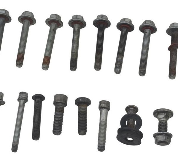 Kit Parafuso Diversos Harley Softail Deluxe 11-15 Original