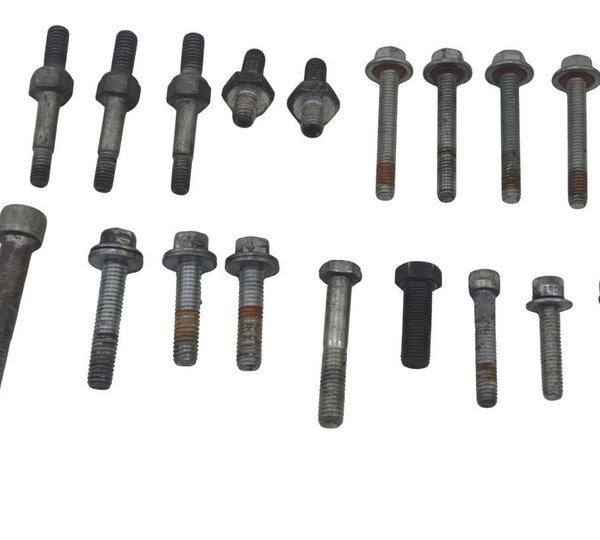 Kit Parafuso Diversos Harley Softail Deluxe 11-15 Original