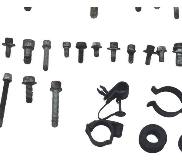 Kit Parafuso Diversos Harley Softail Deluxe 11-15 Original