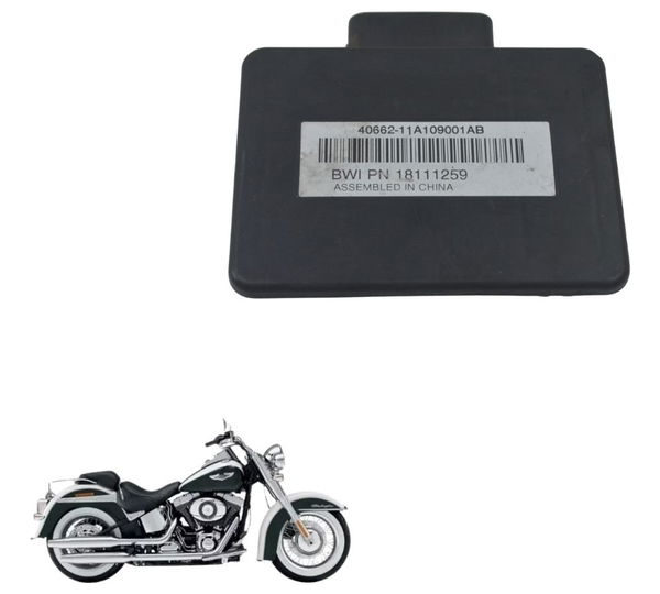 Módulo Abs Eletrônico Harley Softail Deluxe 11-15 Original