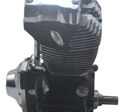 Motor (nfe Baixa Base Troca) Harley Softail Deluxe 11-15
