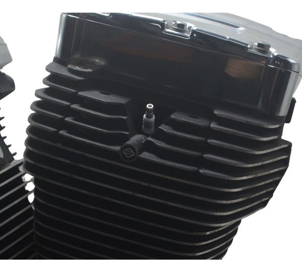 Motor (nfe Baixa Base Troca) Harley Softail Deluxe 11-15
