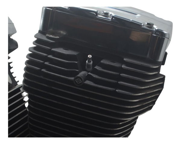 Motor (nfe Baixa Base Troca) Harley Softail Deluxe 11-15