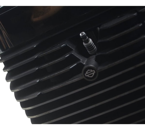 Motor (nfe Baixa Base Troca) Harley Softail Deluxe 11-15