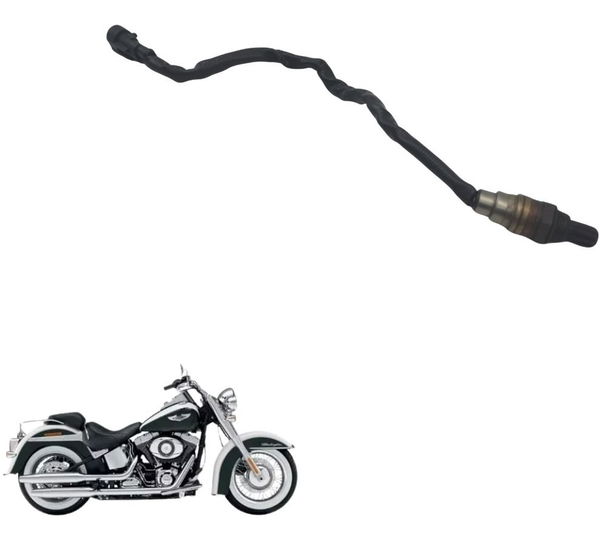 Sonda Lambda Harley Softail Deluxe 11-15 Original