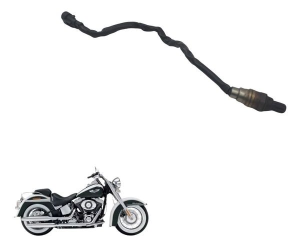 Sonda Lambda Harley Softail Deluxe 11-15 Original