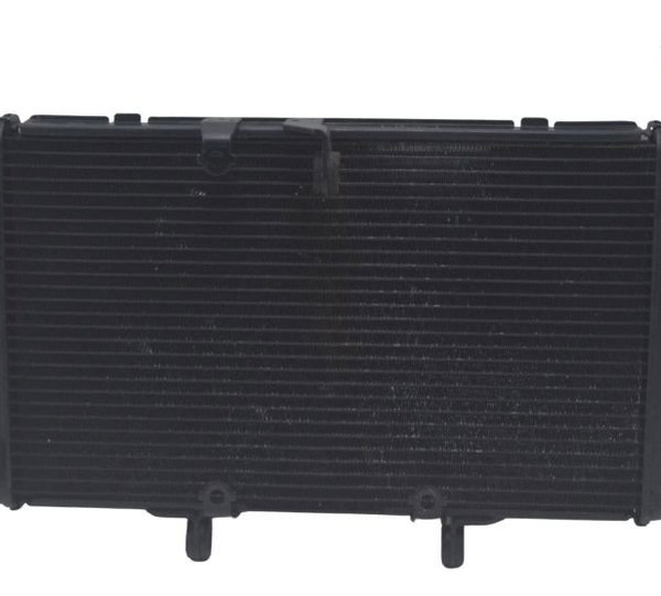 Radiador Honda Cbr 600f 12-14 Original