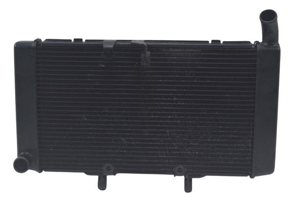 Radiador Honda Cbr 600f 12-14 Original