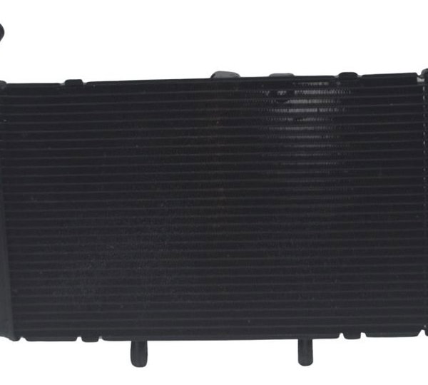 Radiador Honda Cbr 600f 12-14 Original