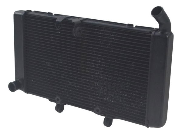 Radiador Honda Cbr 600f 12-14 Original