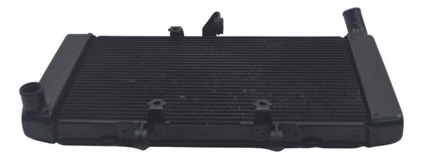 Radiador Honda Cbr 600f 12-14 Original
