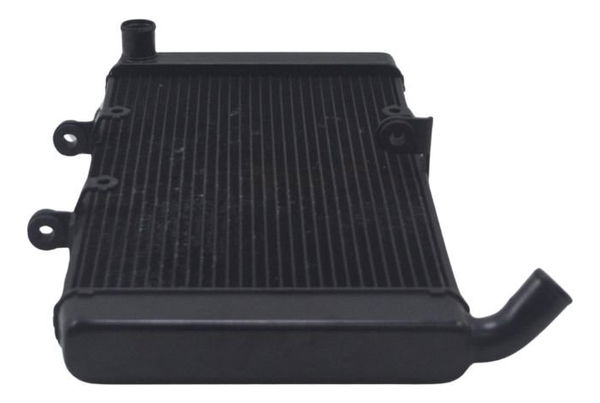 Radiador Honda Cbr 600f 12-14 Original