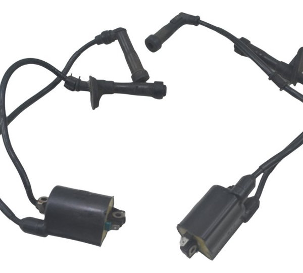 Par Bobina Ignição Honda Shadow 600 95-05 Original