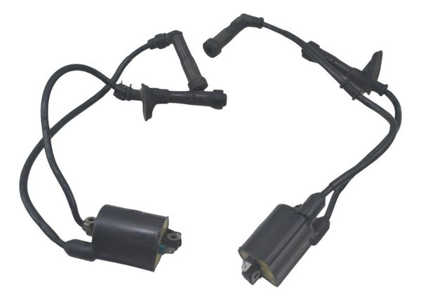 Par Bobina Ignição Honda Shadow 600 95-05 Original