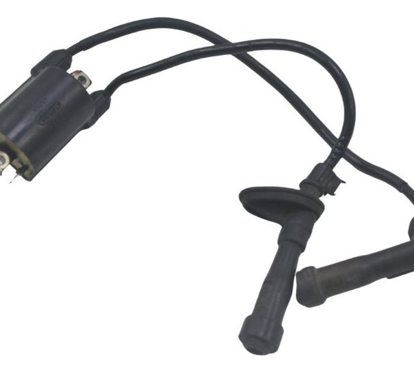 Par Bobina Ignição Honda Shadow 600 95-05 Original