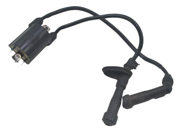 Par Bobina Ignição Honda Shadow 600 95-05 Original