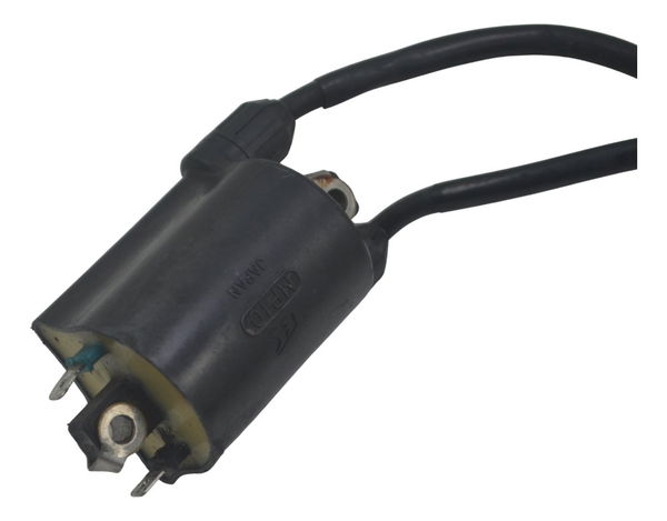 Par Bobina Ignição Honda Shadow 600 95-05 Original