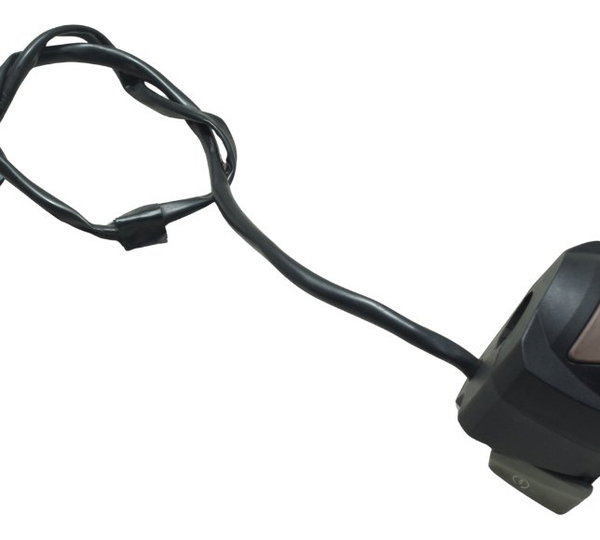 Chave Punho Partida Bmw G 310 Gs 17-20 Original