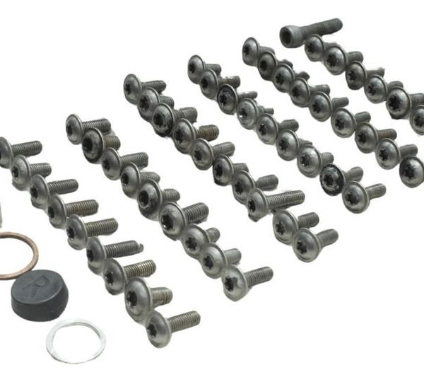 Kit Parafusos Carenagem Bmw R1200 Gs 08-12