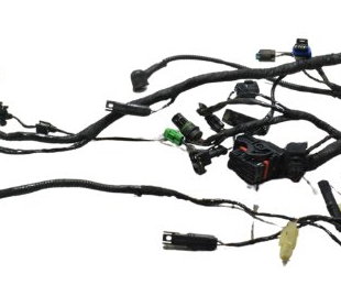 Chicote Principal Bmw G 310 Gs 17-20 Original