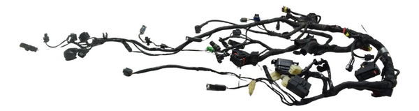 Chicote Principal Bmw G 310 Gs 17-20 Original