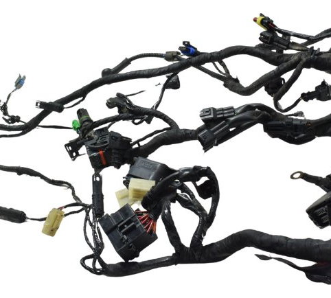 Chicote Principal Bmw G 310 Gs 17-20 Original