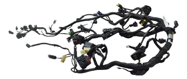 Chicote Principal Bmw G 310 Gs 17-20 Original