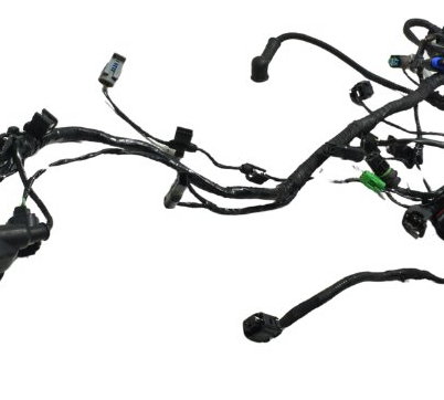 Chicote Principal Bmw G 310 Gs 17-20 Original
