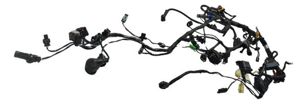 Chicote Principal Bmw G 310 Gs 17-20 Original