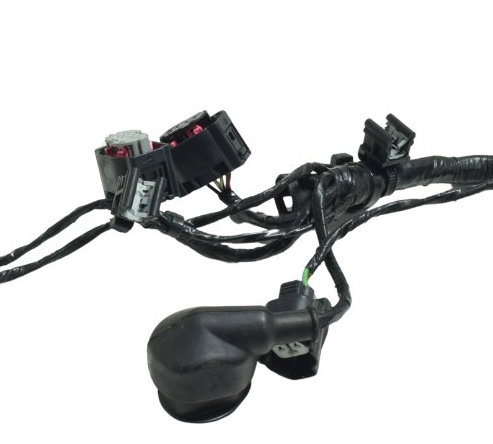 Chicote Principal Bmw G 310 Gs 17-20 Original