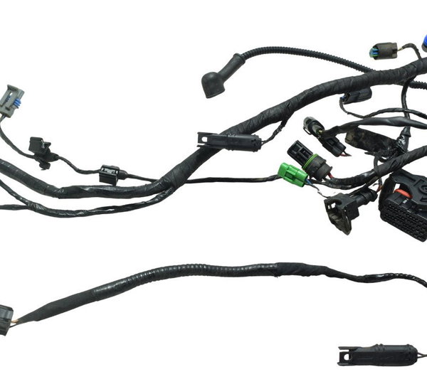 Chicote Principal Bmw G 310 Gs 17-20 Original