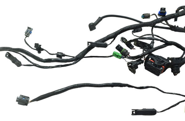 Chicote Principal Bmw G 310 Gs 17-20 Original