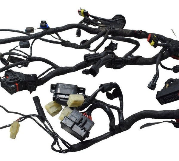 Chicote Principal Bmw G 310 Gs 17-20 Original
