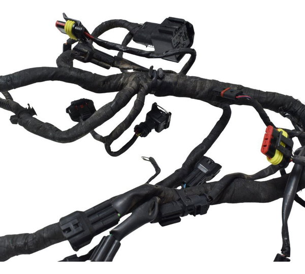 Chicote Principal Bmw G 310 Gs 17-20 Original