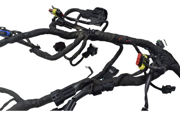 Chicote Principal Bmw G 310 Gs 17-20 Original