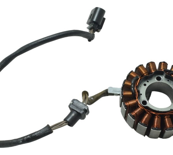 Estator Bmw G 310 Gs 20-25 Original