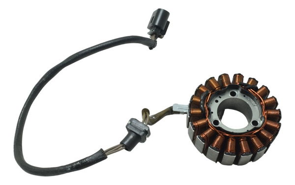 Estator Bmw G 310 Gs 20-25 Original
