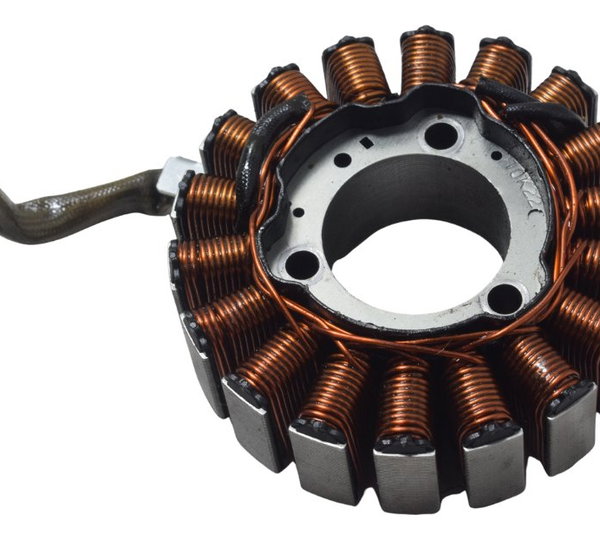 Estator Bmw G 310 Gs 20-25 Original